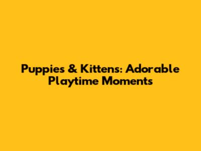 Puppies & Kittens: Adorable Playtime Moments