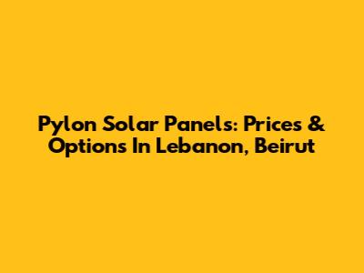 Pylon Solar Panels: Prices & Options In Lebanon, Beirut