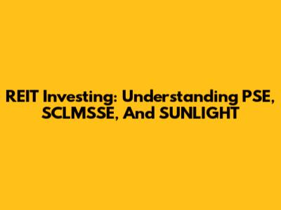 REIT Investing: Understanding PSE, SCLMSSE, And SUNLIGHT