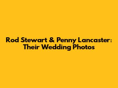 Rod Stewart & Penny Lancaster: Their Wedding Photos