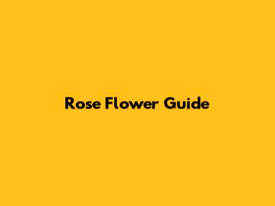 Rose Flower Guide