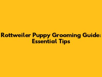 Rottweiler Puppy Grooming Guide: Essential Tips