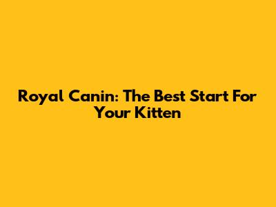 Royal Canin: The Best Start For Your Kitten