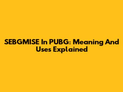 SEBGMISE In PUBG: Meaning And Uses Explained