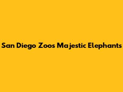 San Diego Zoo's Majestic Elephants