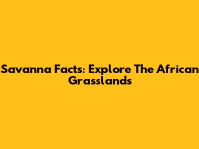 Savanna Facts: Explore The African Grasslands
