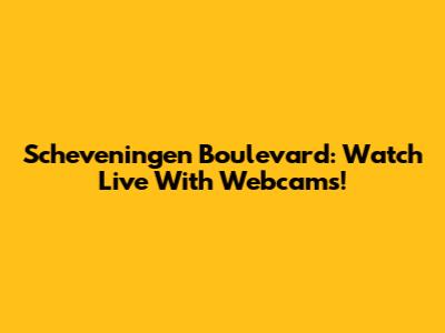 Scheveningen Boulevard: Watch Live With Webcams!