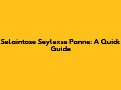 Selaintose Seylexse Panne: A Quick Guide