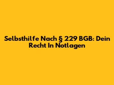Selbsthilfe Nach § 229 BGB: Dein Recht In Notlagen