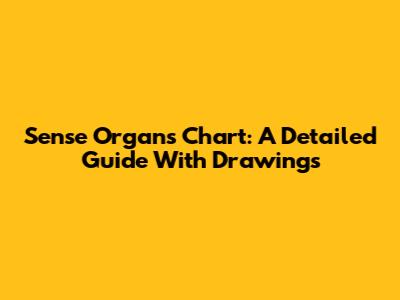 Sense Organs Chart: A Detailed Guide With Drawings
