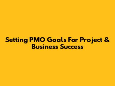 Setting PMO Goals For Project & Business Success