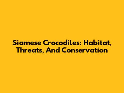 Siamese Crocodiles: Habitat, Threats, And Conservation