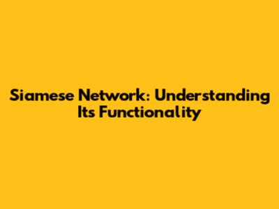 Siamese Network: Understanding Its Functionality
