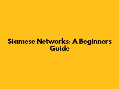 Siamese Networks: A Beginner's Guide