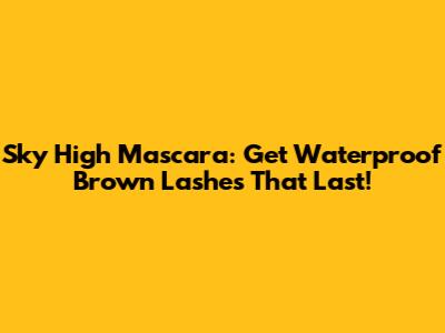 Sky High Mascara: Get Waterproof Brown Lashes That Last!