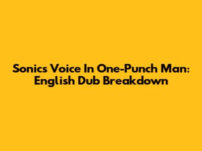 Sonic's Voice In One-Punch Man: English Dub Breakdown