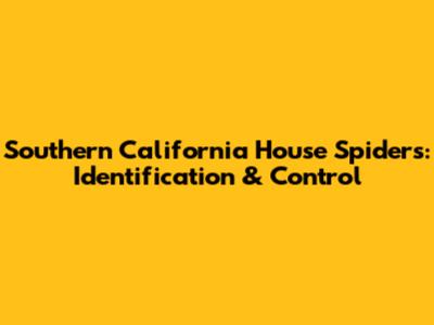 Southern California House Spiders: Identification & Control