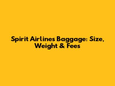Spirit Airlines Baggage: Size, Weight & Fees