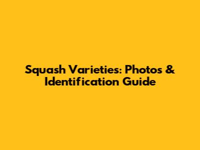 Squash Varieties: Photos & Identification Guide