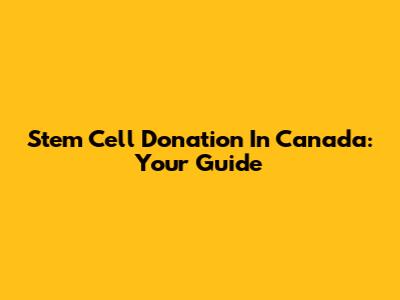 Stem Cell Donation In Canada: Your Guide