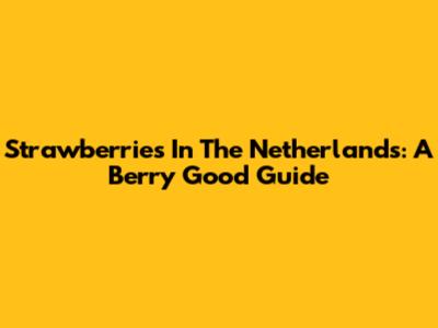 Strawberries In The Netherlands: A Berry Good Guide
