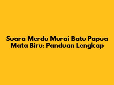 Suara Merdu Murai Batu Papua Mata Biru: Panduan Lengkap