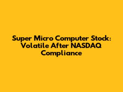 Super Micro Computer Stock: Volatile After NASDAQ Compliance