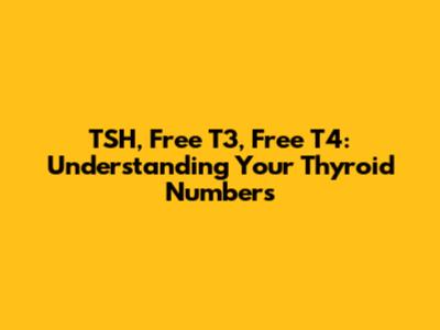 TSH, Free T3, Free T4: Understanding Your Thyroid Numbers