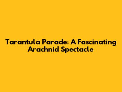Tarantula Parade: A Fascinating Arachnid Spectacle