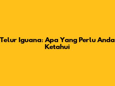 Telur Iguana: Apa Yang Perlu Anda Ketahui
