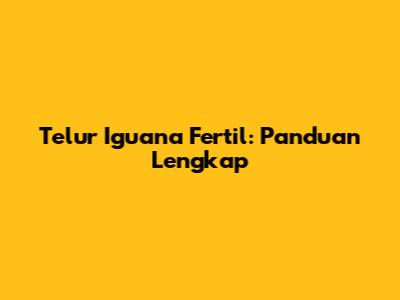Telur Iguana Fertil: Panduan Lengkap