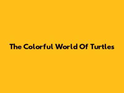 The Colorful World Of Turtles