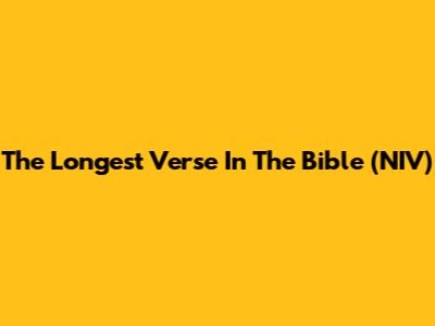 The Longest Verse In The Bible (NIV)