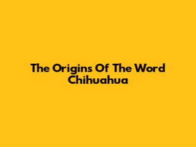 The Origins Of The Word 'Chihuahua'