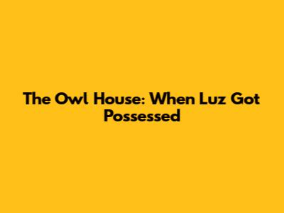 The Owl House: When Luz Got Possessed