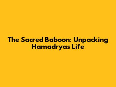 The Sacred Baboon: Unpacking Hamadryas Life