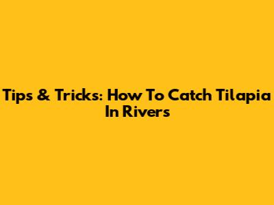 Tips & Tricks: How To Catch Tilapia In Rivers