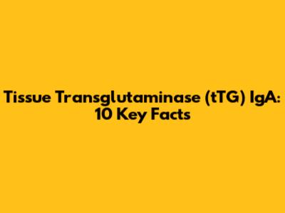 Tissue Transglutaminase (tTG) IgA: 10 Key Facts