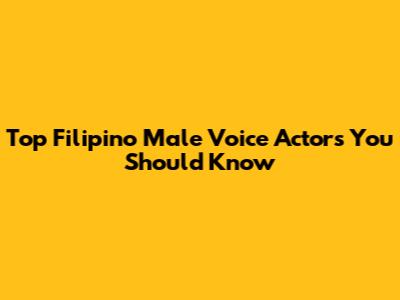 Top Filipino Male Voice Actors You Should Know