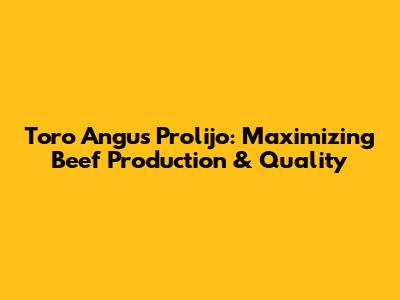 Toro Angus Prolijo: Maximizing Beef Production & Quality