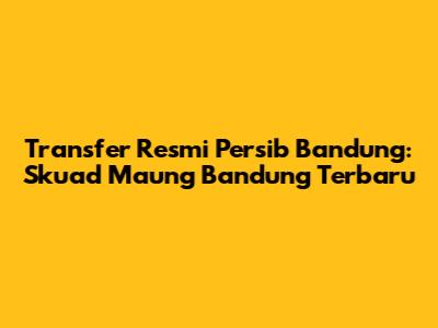 Transfer Resmi Persib Bandung: Skuad Maung Bandung Terbaru