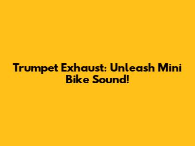 Trumpet Exhaust: Unleash Mini Bike Sound!