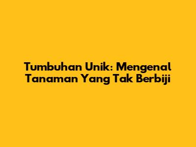 Tumbuhan Unik: Mengenal Tanaman Yang Tak Berbiji