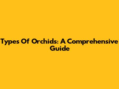 Types Of Orchids: A Comprehensive Guide