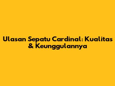 Ulasan Sepatu Cardinal: Kualitas & Keunggulannya