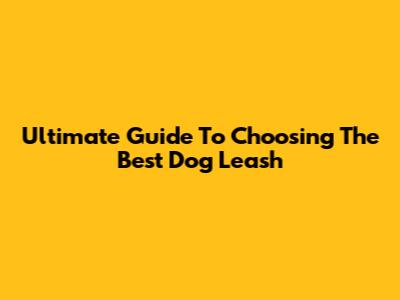 Ultimate Guide To Choosing The Best Dog Leash