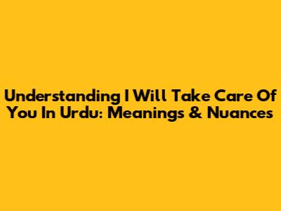 Understanding 'I Will Take Care Of You' In Urdu: Meanings & Nuances