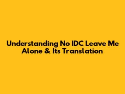Understanding 'No IDC Leave Me Alone' & Its Translation