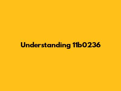 Understanding 11b0236