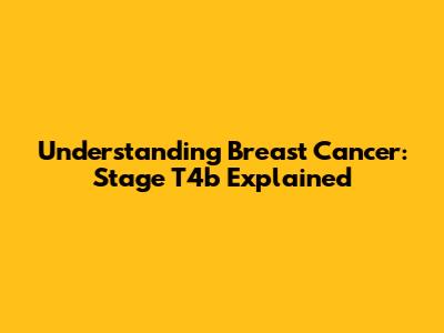 Understanding Breast Cancer: Stage T4b Explained